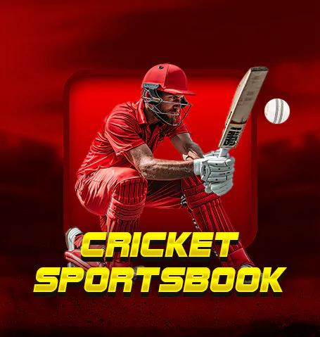 Winmatch cricket interface – action-packed sports layout
